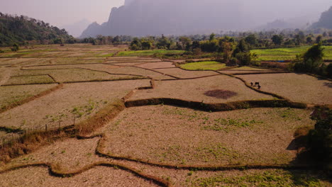 aerial view of a terraced rice paddy landscape