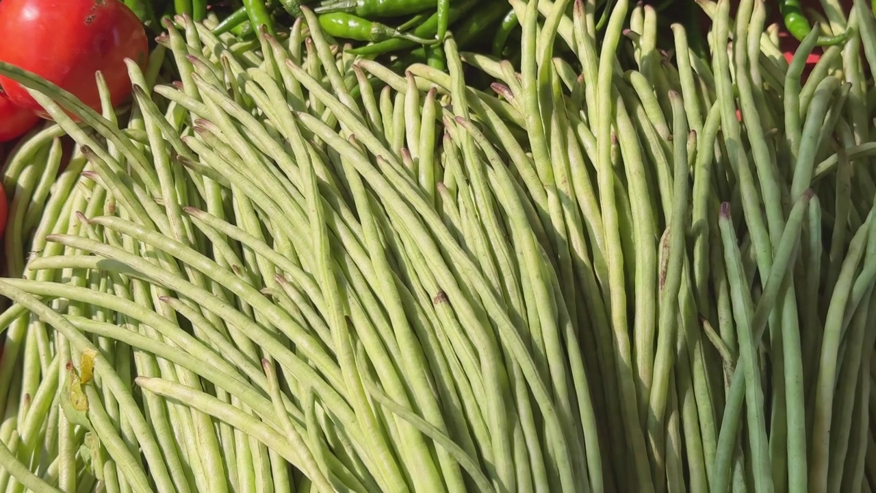 O feijão-espargo é uma leguminosa cultivada por suas vagens verdes comestíveis que contêm sementes imaturas, semelhante ao feijão-verde.