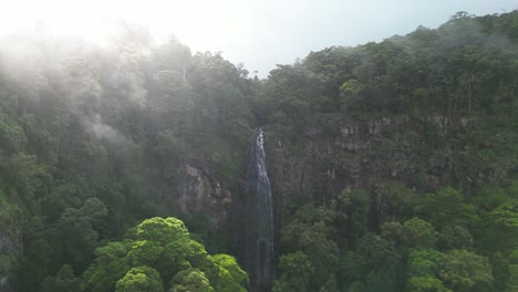 moving through a sun drenched misty fog revealing a hidden tropical rainforest waterfall