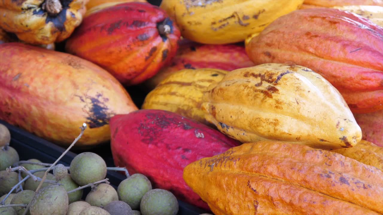 cacao para la venta en un mercado de la región del pacífico