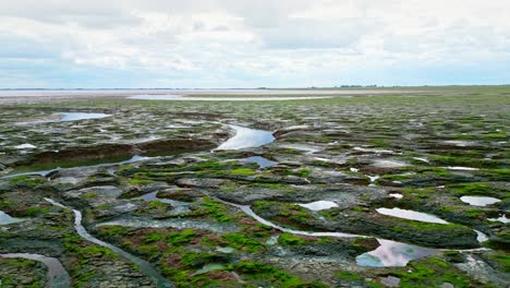 cracked mud flats in a salt marsh