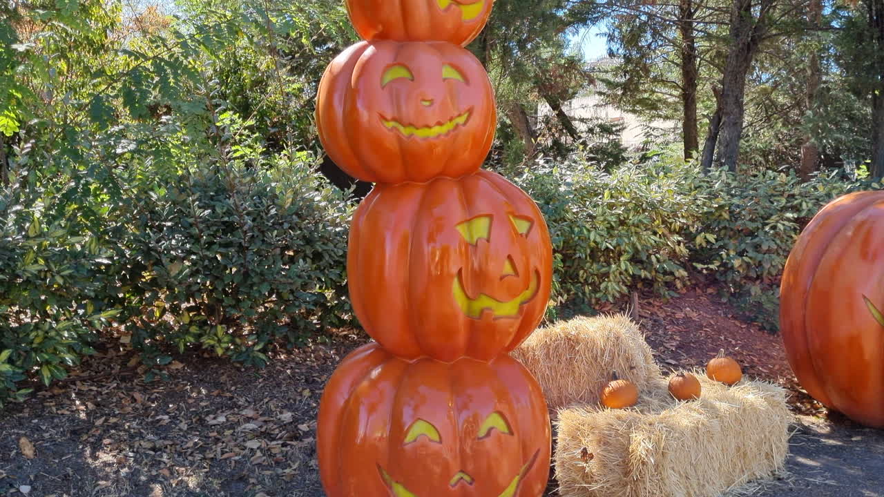 foto de calabazas decorativas del día de halloween