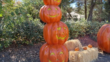 shot of decorative pumpkins of halloween day