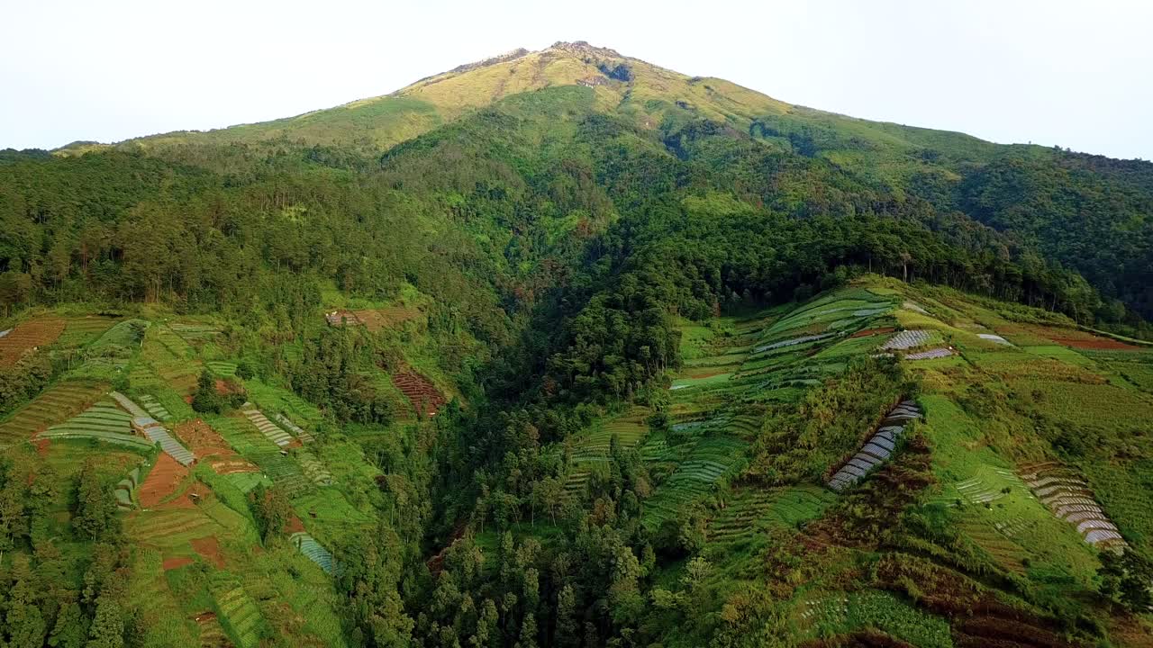 toma de drones de la ladera de la montaña que ha sido deforestada para su uso como tierra agrícola, el bosque que sigue disminuyendo - ladera de la montaña sumbing, indonesia