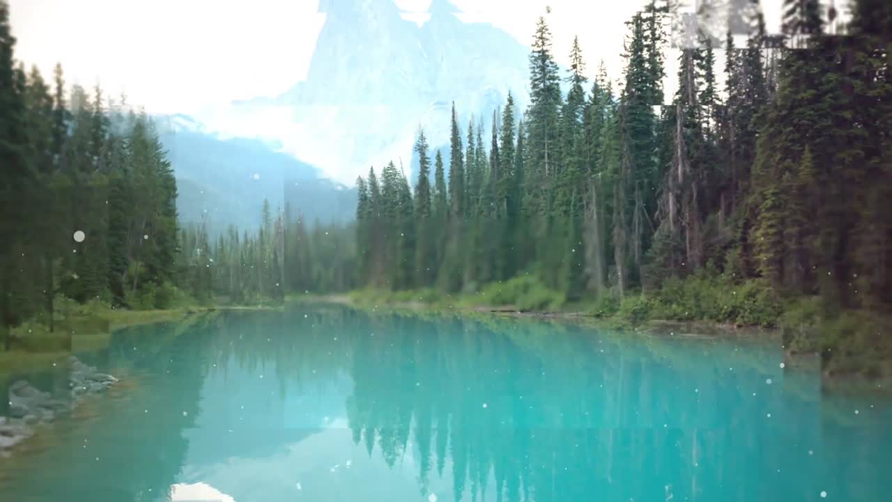 video generado digitalmente del río y los árboles 4k