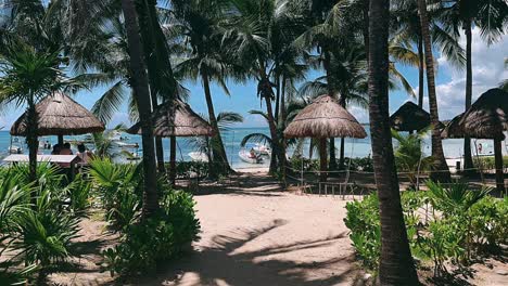 tropical beach paradise with palm trees and cabanas