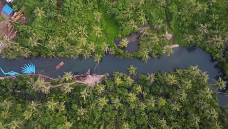 popular palm tree swing on maasin river in siargao, drone top down