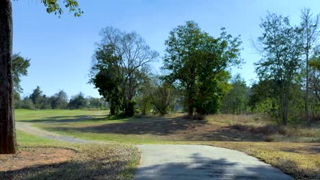 golf course path on a sunny day