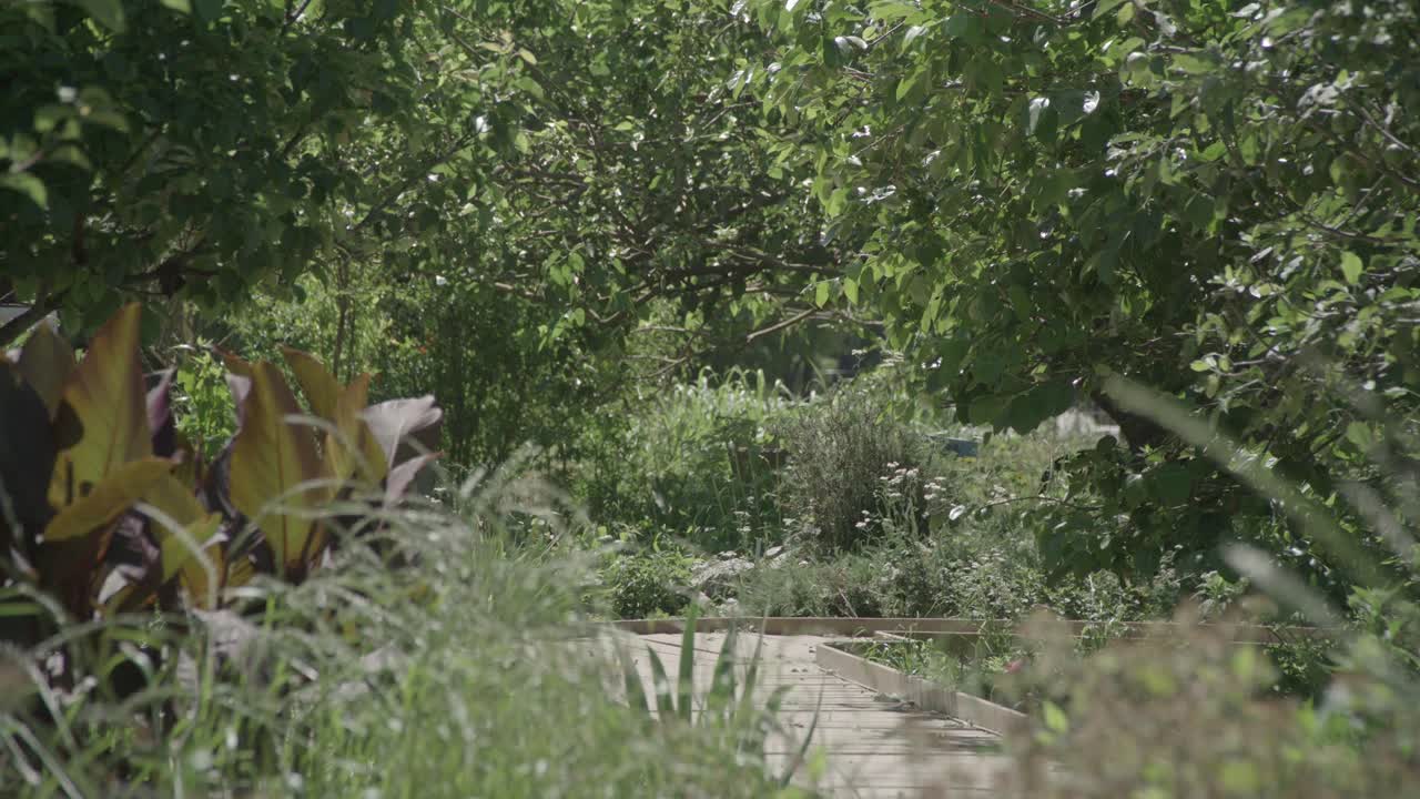 un paseo marítimo en un jardín comunitario