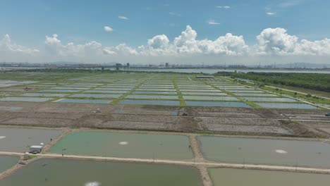 Luftaufnahme-Der-Ländlichen-Landschaft-In-Der-Nähe-Von-Zhujiang,-China,-Landwirtschaftlicher-Reisfeldanbau