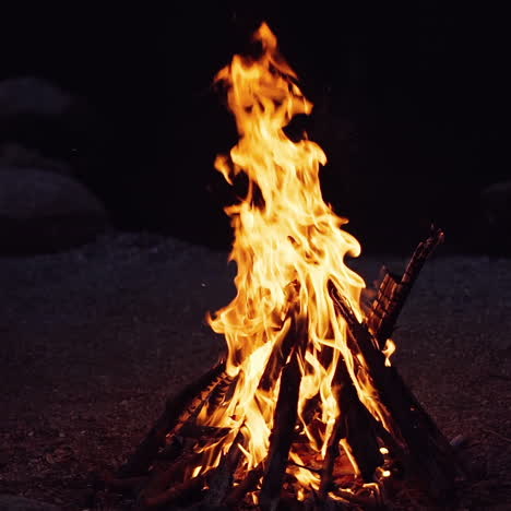 bonfire that burns on a dark background, wood burning flame.