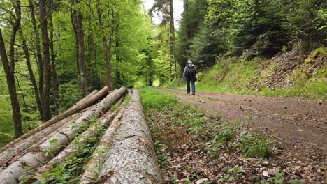 male hiker on a forest trail while hiking the popular long-distance trail westweg through the black forest in southern germany