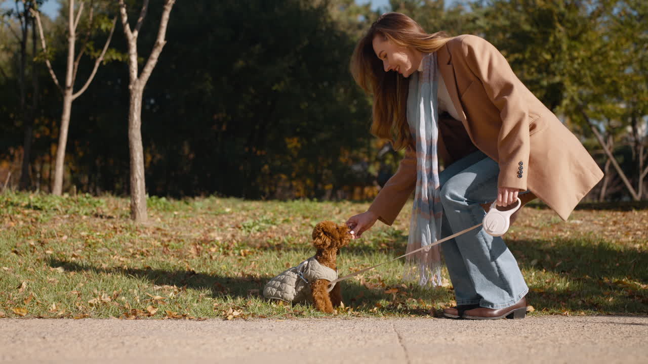 Smiling Woman Feeds Brown Toy Poodle Puppy on Leash with Snack in Autumn Park - slow motion
