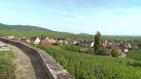 hunawihr village is surrounded by the hills and vineyards as seen from the church of the town