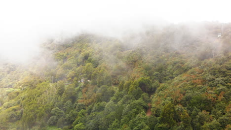 Drone-flies-through-clouds-with-trees-in-the-mountains-in-Madeira