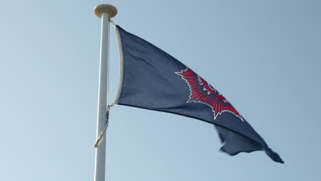 slow motion shot of the country fire service (cfs) flag waving in the wind. ideal for videos about fire safety, emergency services, volunteer fire fighters in australia.
