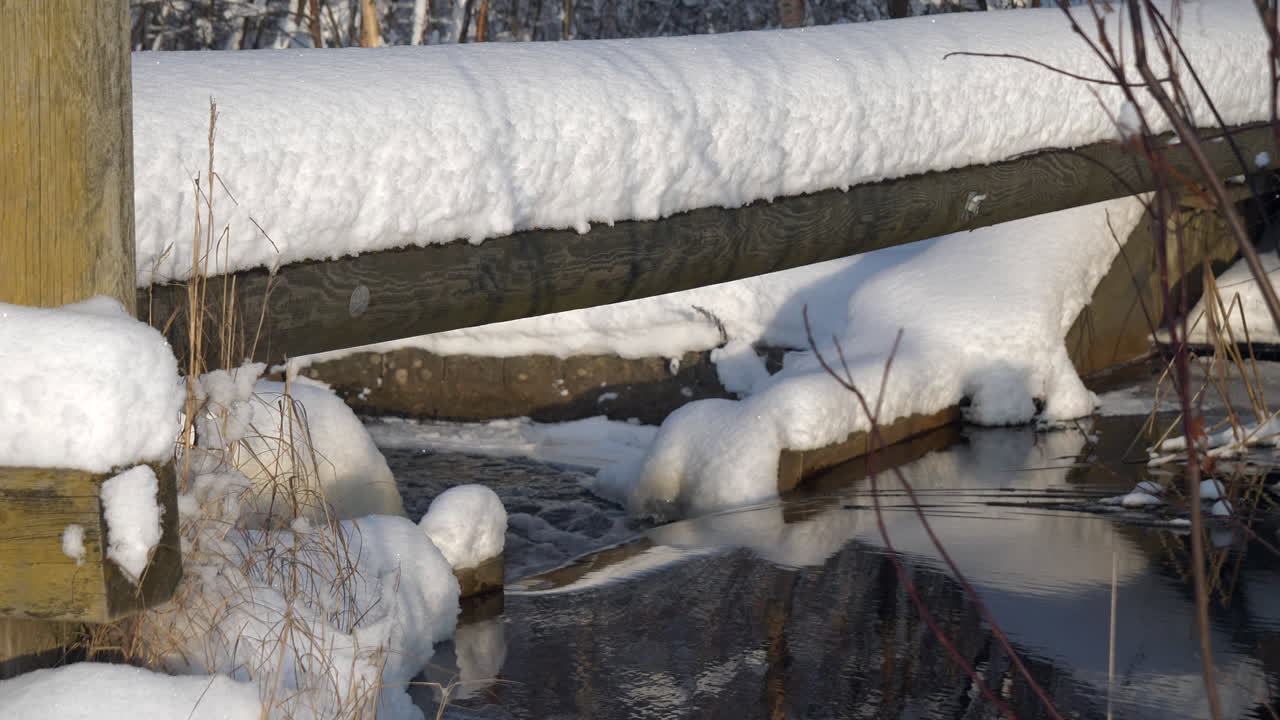 majestuosa corriente de agua en el bosque nevado durante la fría temporada de invierno