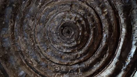timeworn masterpieces the vanishing art of gori’s temple pillars