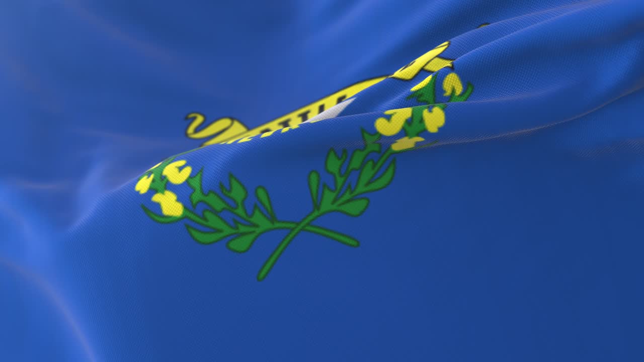 미국 네바다 주 (nevada state) 의 발.