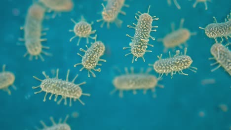imágenes microscópicas de bacterias