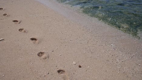 footprint on the white sand on the beach