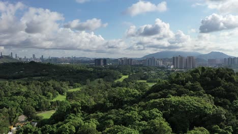 countryside forest in hong kong with sheung shui town in background