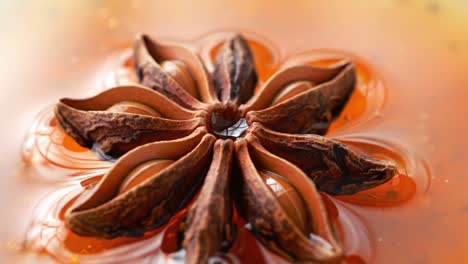 star anise in liquid