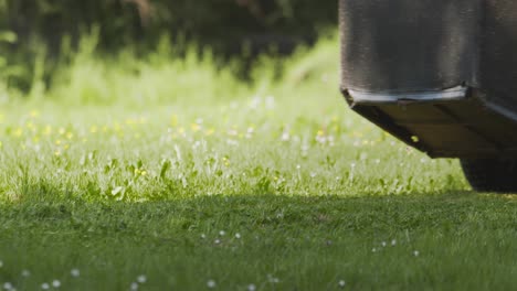 close up lawnmower on the spring grass field in the yard