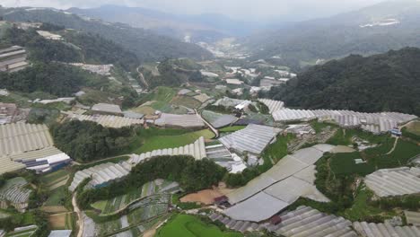 general landscape view of the brinchang district within the cameron highlands area of malaysia
