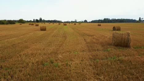 El-Campo-Con-Rollos-De-Heno