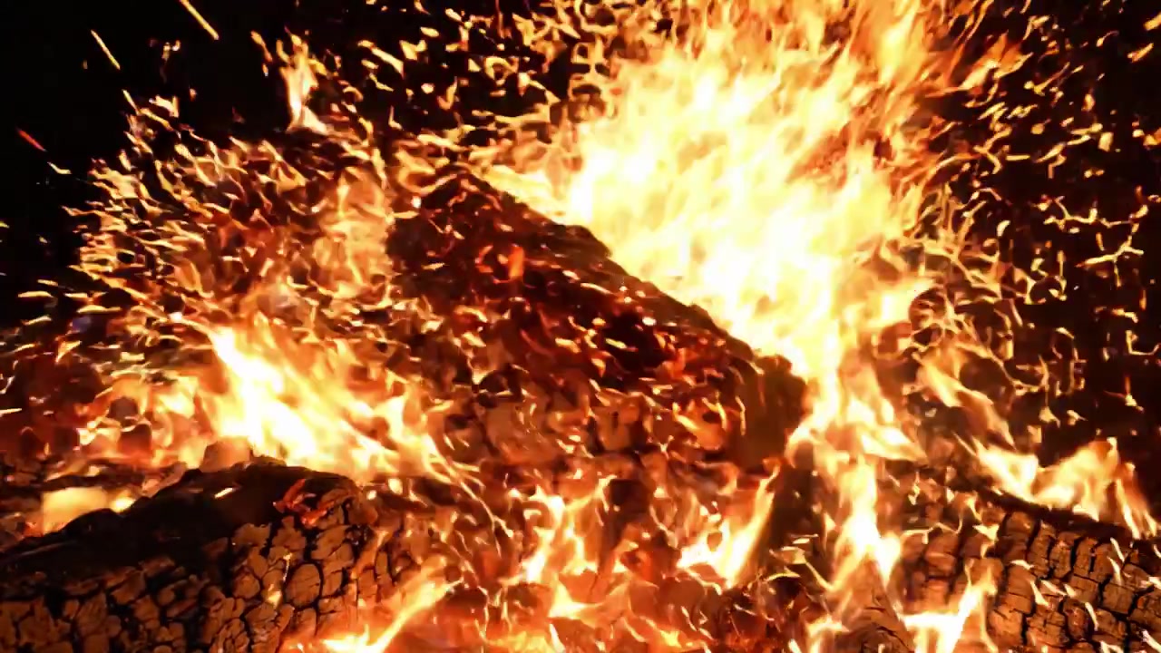 Fiamme spettacolari danzano tra i ceppi: uno spettacolo accattivante dell'energia grezza e della bellezza naturale del fuoco, che illumina l'oscurità con il suo caldo bagliore.