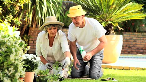 Pareja-De-Jubilados-Jardineria