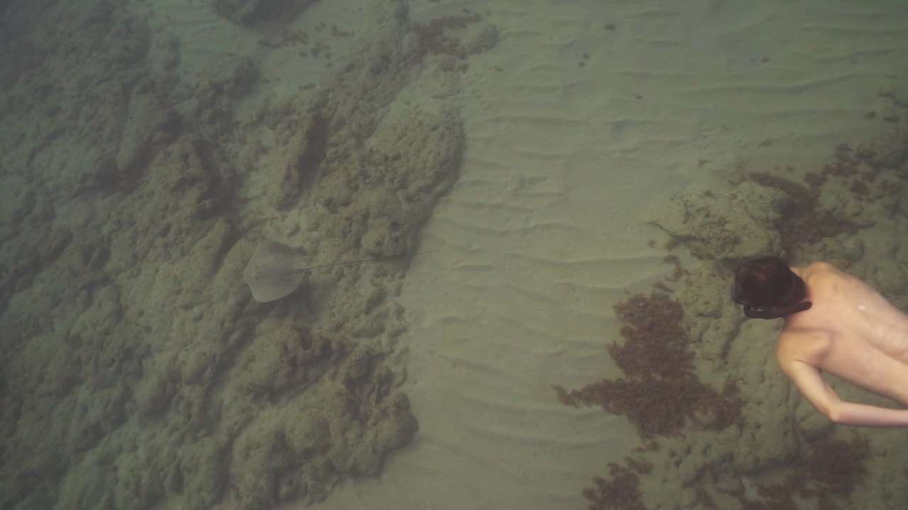 un joven nadando y se encuentra con una raya bajo el agua en shikmona, cerca del paseo marítimo bat galim, haifa, israel
