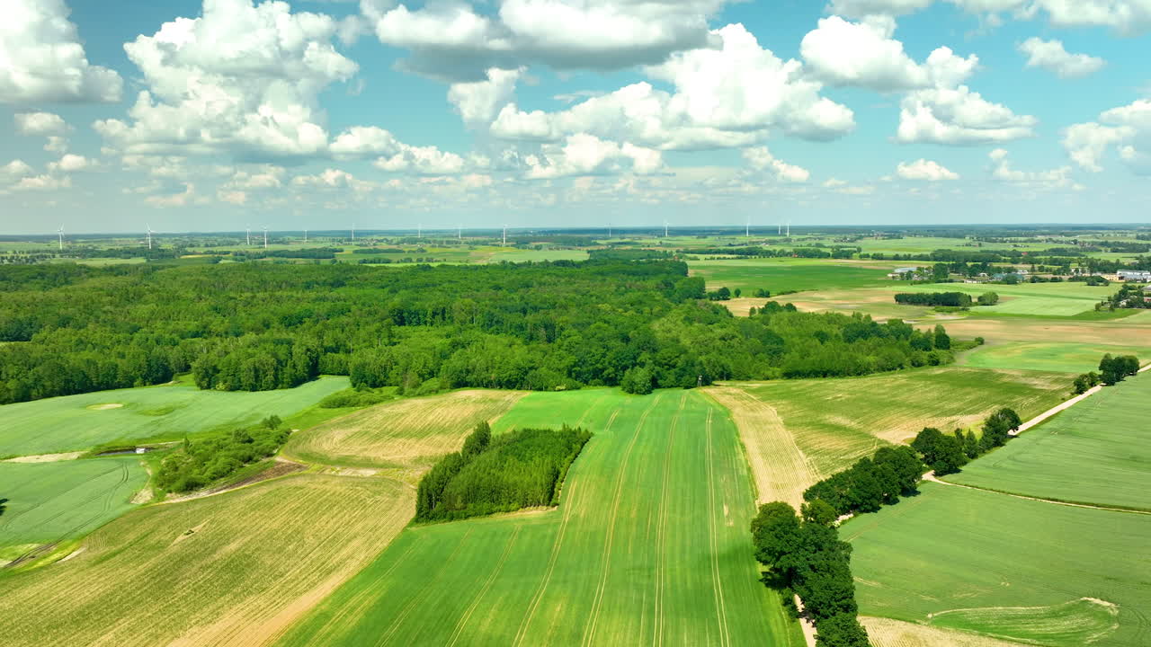 Aerial shot of green fields with a straight road and trees on a sunny day.