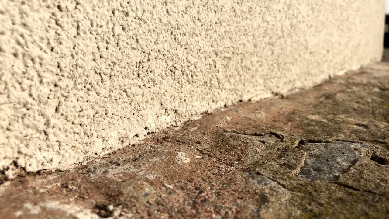 trabajo en equipo hormigas yendo a la naturaleza en una dirección construyendo una calle