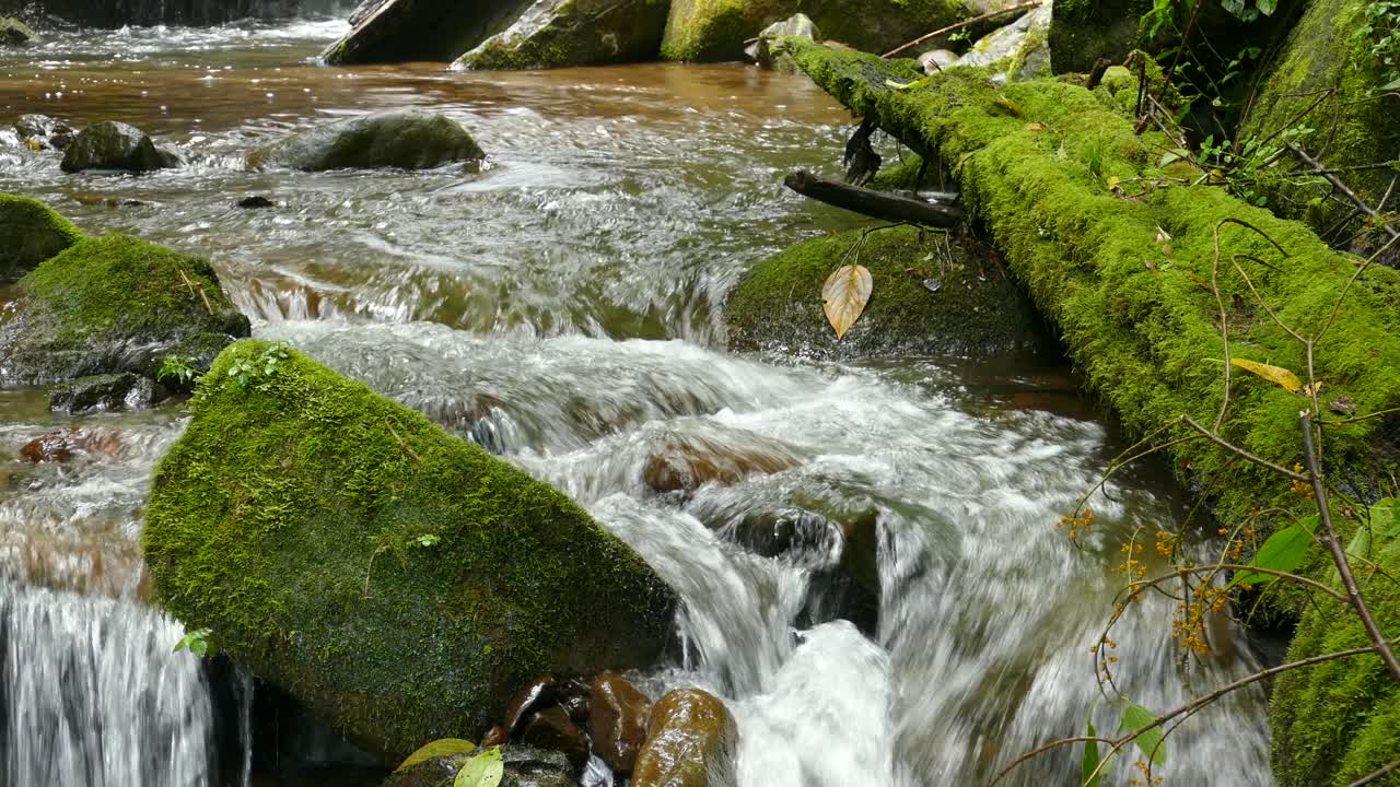 Water rushes over moss covered rocks in the foreground in a peaceful relaxing scene