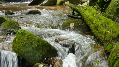 Wasser-Strömt-über-Moosbedeckte-Felsen-Im-Vordergrund-In-Einer-Friedlichen,-Entspannenden-Szene