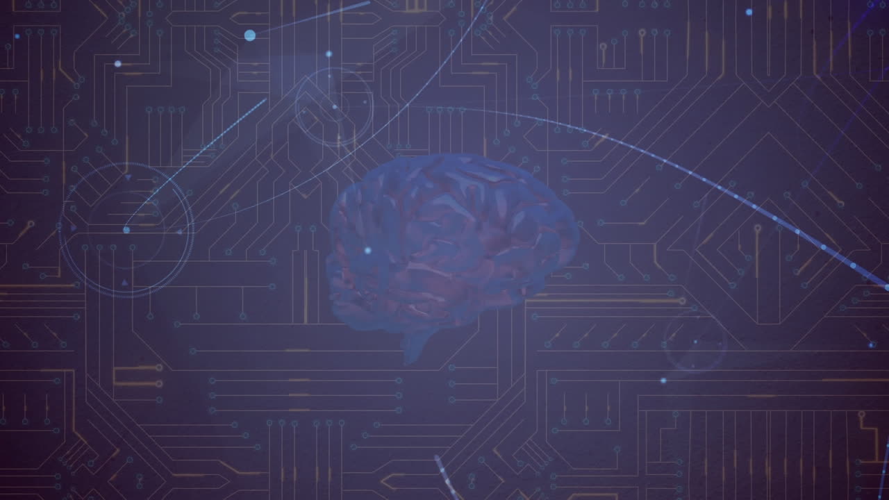 animación de la red de conexiones con cerebro digital sobre placa de circuito de computadora