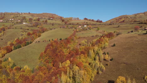 aerial view of a village on top of a hill covered with autumnal color treetops in the countryside of transylvania, romania