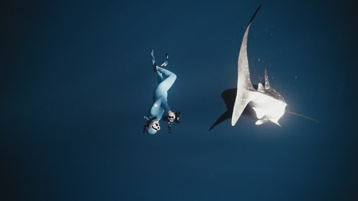 Freediver Encounters a Whale Shark