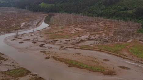río del escudo que fluye a través de la marisma de rubin, cantabria, españa