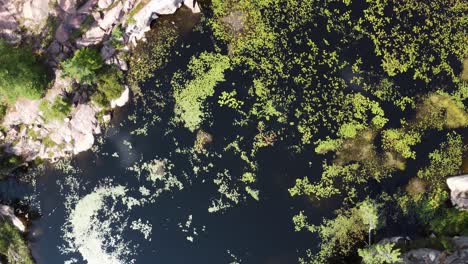 Aerial:-serene-water-amidst-dense-greenery-at-Grundy-Lake-Provincial-Park