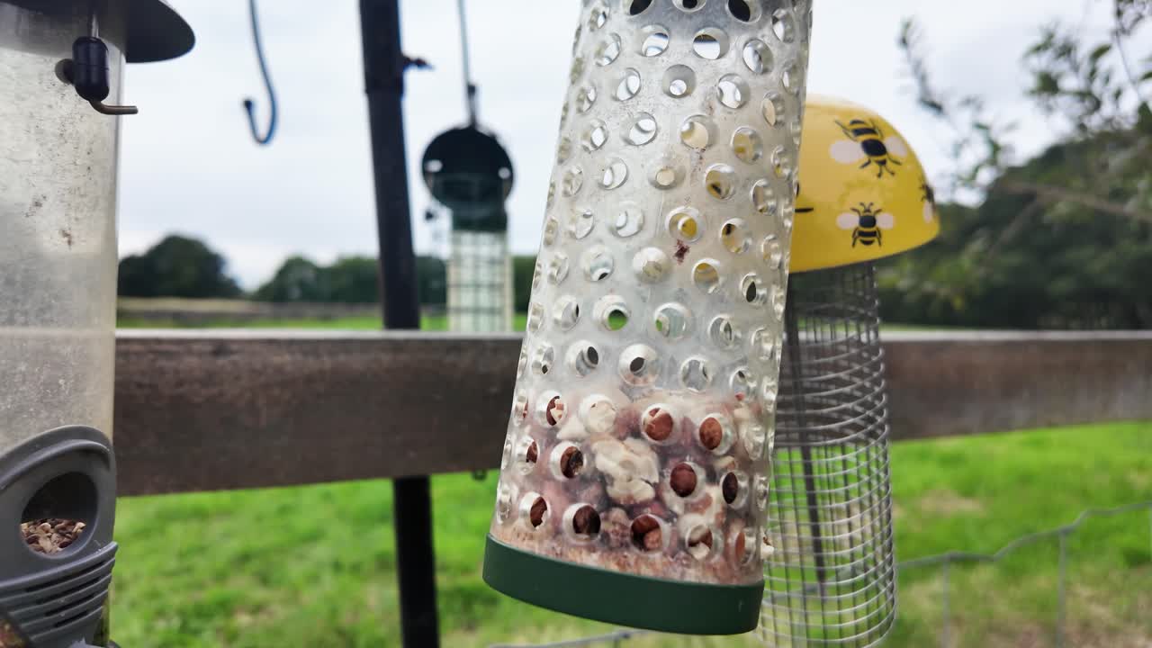 Bird feeders hanging in a countryside setting with a wooden fence and greenery