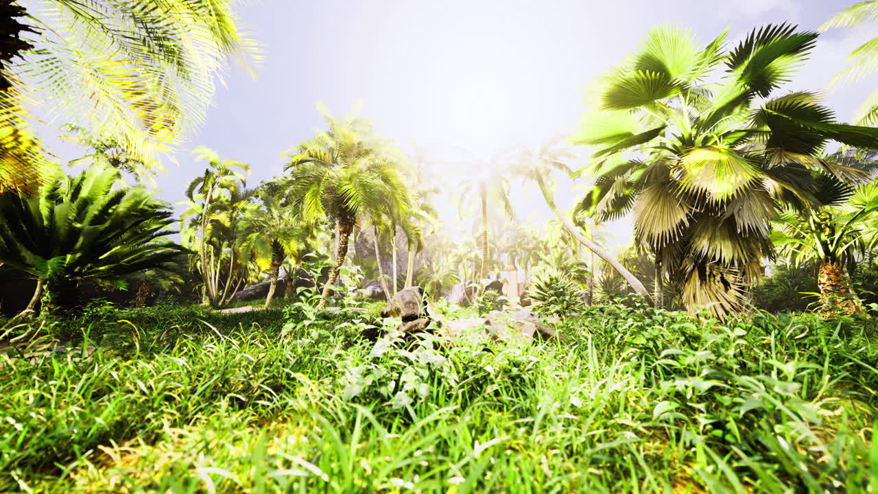 Lush tropical paradise with sunlight streaming through vibrant foliage