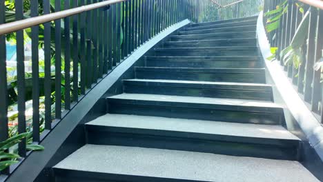 modern indoor staircase in a botanical garden