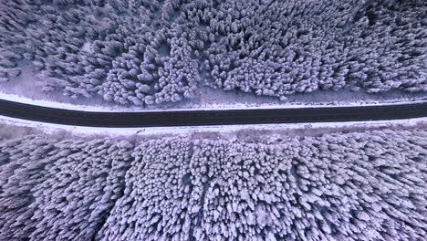 Overhead-view-of-freshly-fallen-snowy-road-with-trees-and-a-car-moving-in-frame