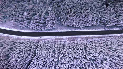 vista aérea de una carretera nevada recién caída con árboles y un coche moviéndose en el marco