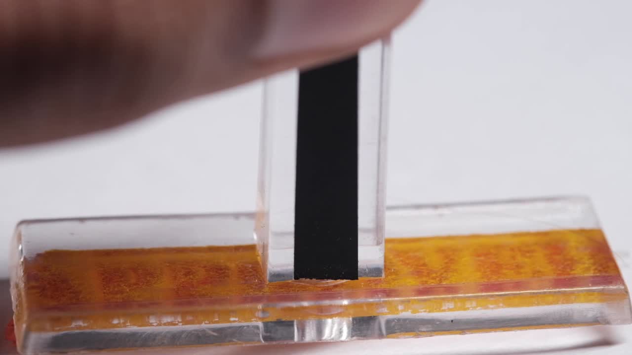 estampado y experimento