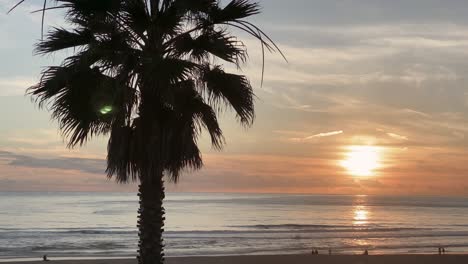 Enorme-Puesta-De-Sol-Sobre-Algunas-Olas-Con-Palmeras-En-La-Parte-Delantera