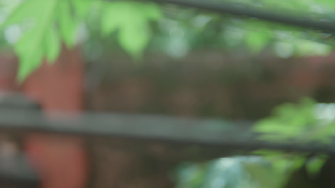 뒷면에 초록색이 있는 정원 환경에서 철문 잠금 메커니즘의 클로즈업 뷰